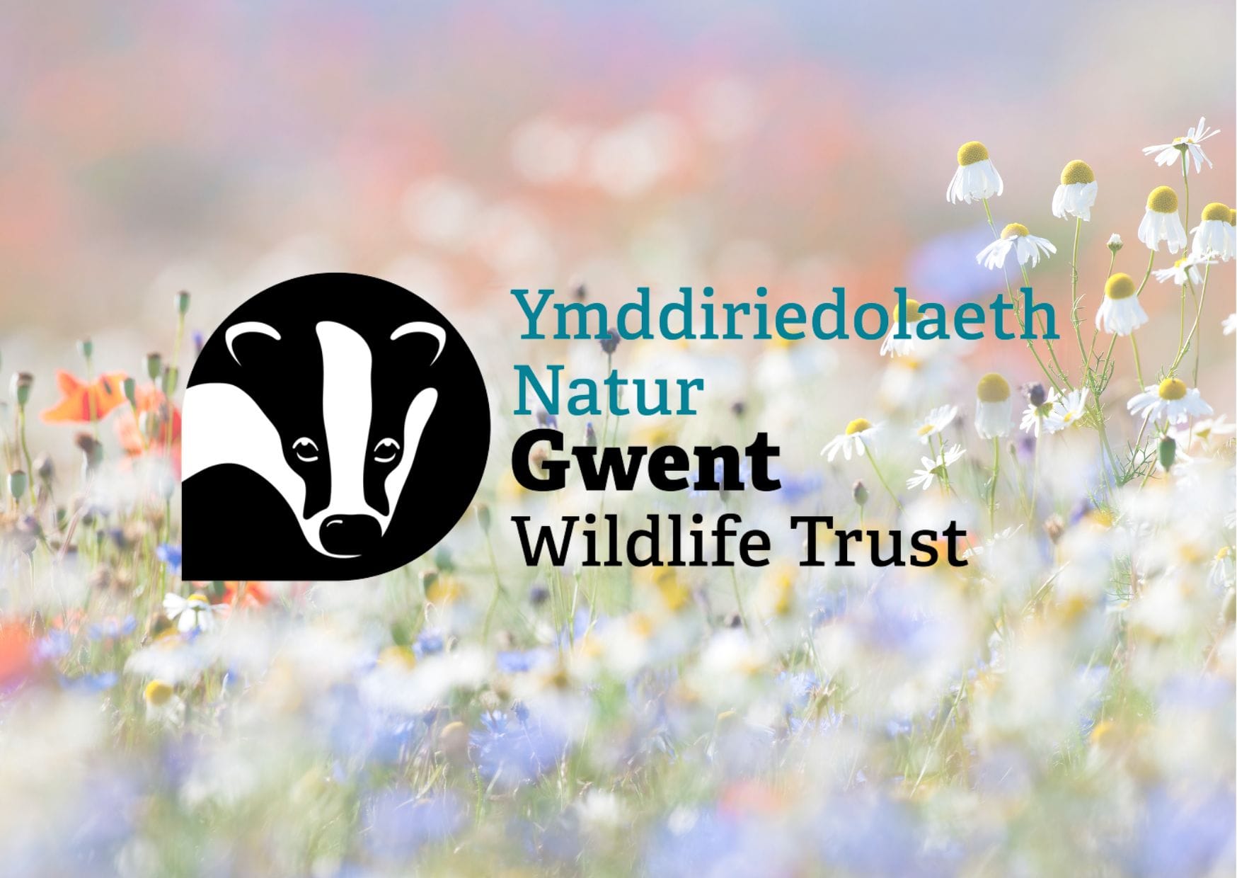 Exciting Plans with Gwent Wildlife Trust